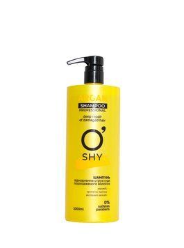 Шампунь ARGAN &mdash; Відновлення структури, Professional, 1 л 4820195508282 фото
